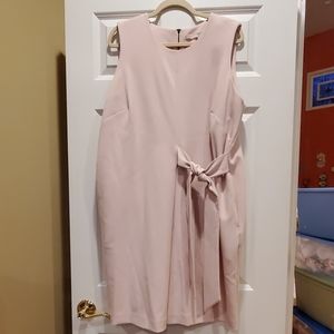 Dusty Rose Sheath Dress